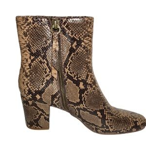 splendid snakeskin boots